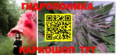 молекула духа Пенза