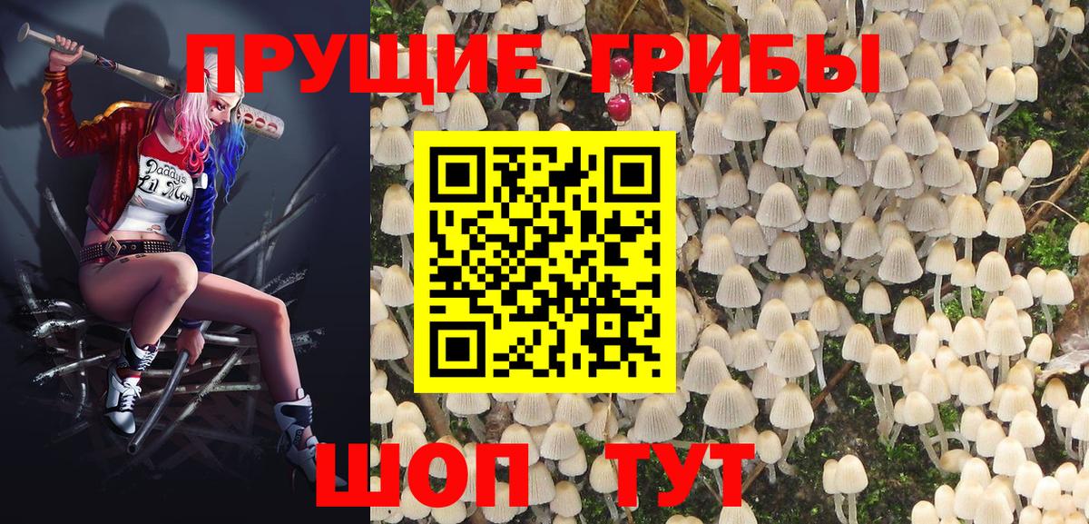 Псилоцибиновые грибы мицелий  Псилоцибиновые грибы GOLDEN TEACHER  Вход с VPN  Элиста 