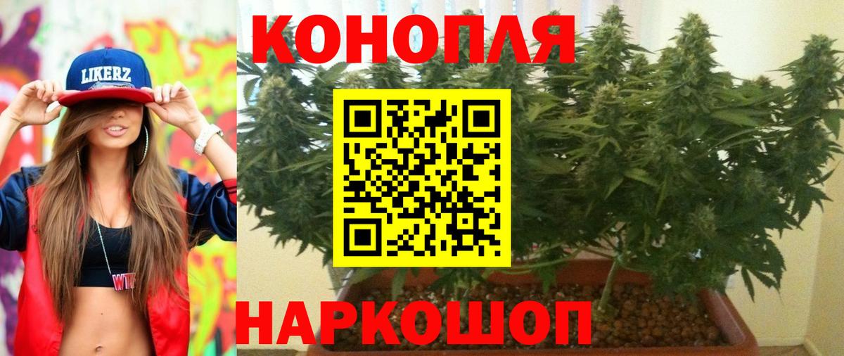 Элиста  Бошки Шишки индика  Марихуана план  МАРИХУАНА OG Kush  Вход с VPN  Марихуана индика 
